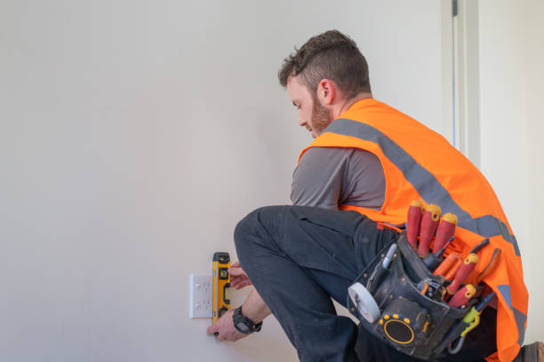 Best Electric Panel Repair  in Westminster, TX
